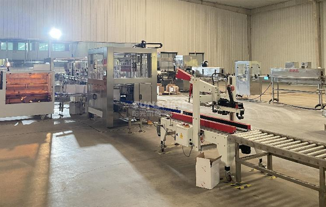 carton packing machine 