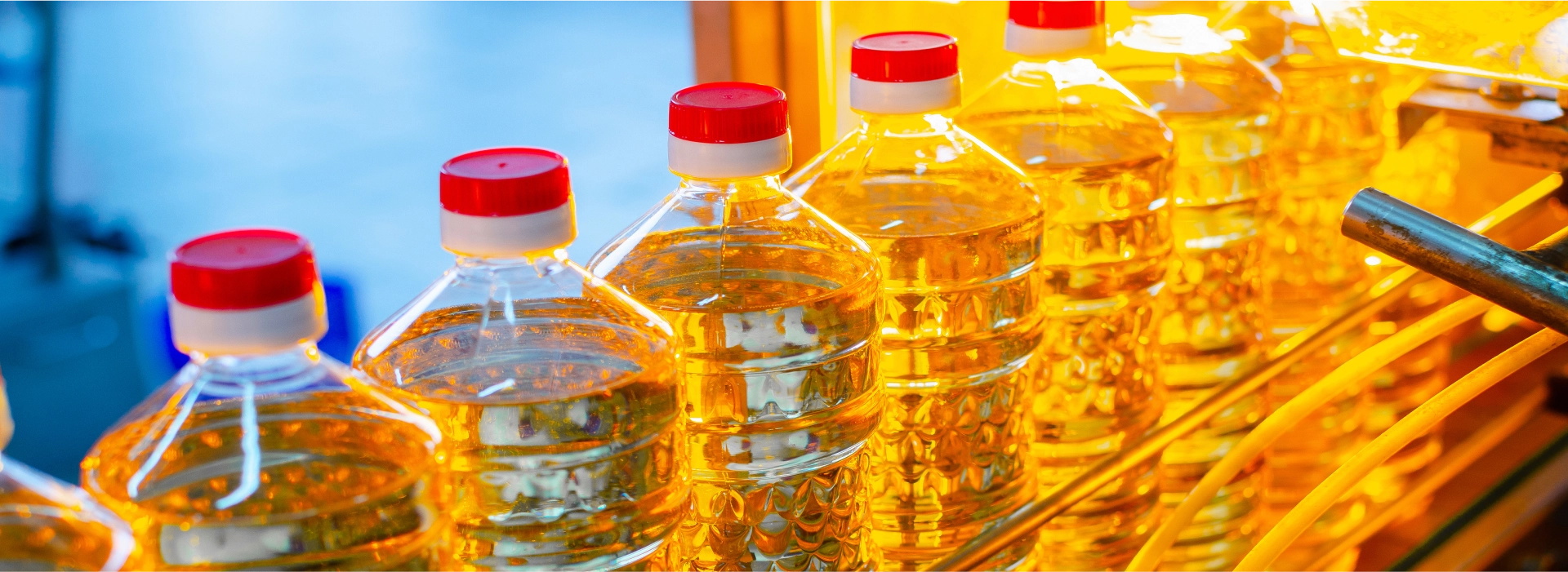 oil filling machine line