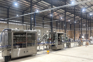 Establishment of the First Large-scale Pesticide Plant