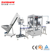 Single Head Capping Machine